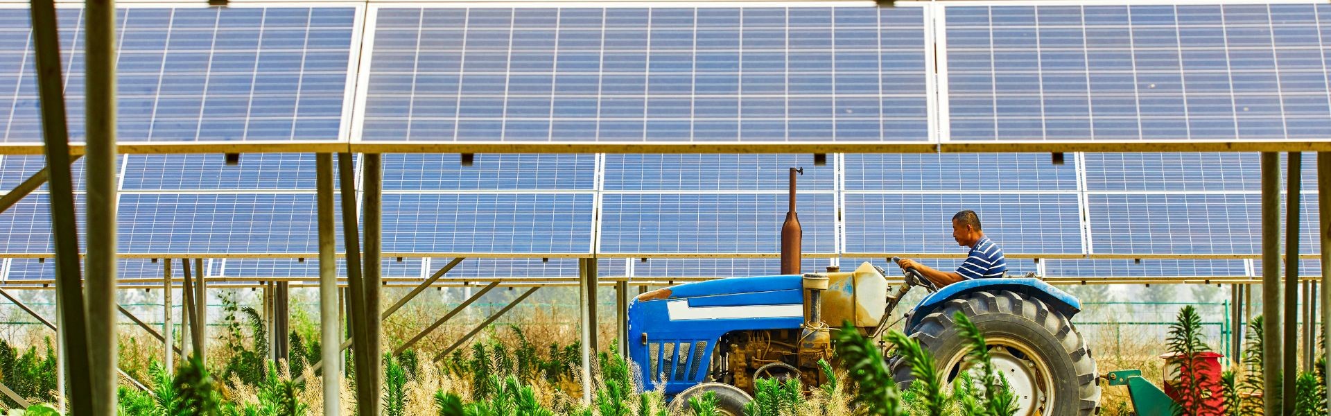 Bando Parco Solare: Incentivi alla sostenibilità energetica nel settore agricolo